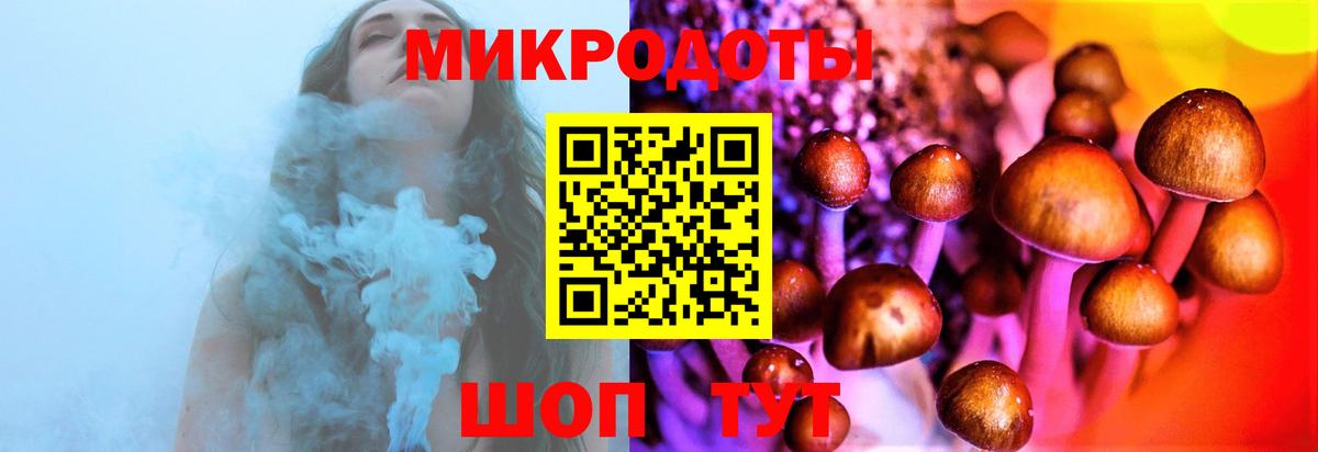 Псилоцибиновые грибы Psilocybe Алексеевка